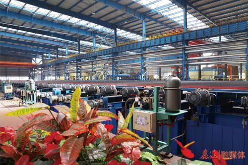 除塵系統(tǒng)升級改造,助力綠色文化工廠建設(shè)