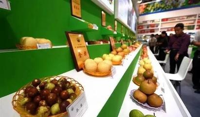 祁陽首屆油菜花節(jié)暨農(nóng)副產(chǎn)品交易會(huì)邀您共賞春光，樂享田園盛宴