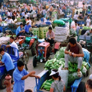 上海浦南農副產品批發市場 都市的“綠色心臟”與百姓的“菜籃子”