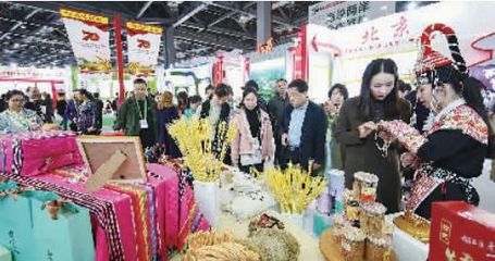 農業盛宴 第十七屆中國國際農產品交易會盛大開幕，五大亮點引領行業新風向